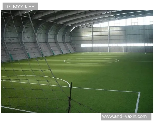 新乡市室内足球场打造全新运动体验助力青少年健康成长 新乡市室内足球场打造全新运动体验助力青少年健康成长